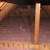 #1 Attic Before - Insulation is infested with mold and animal feces, which is circulating throughout the home via the heating and air conditioning system.